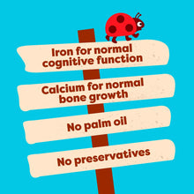 Load image into Gallery viewer, Heinz Banana & Berries Porridge 7+Months, 200g