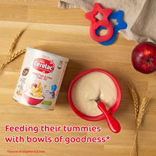 Load image into Gallery viewer, Nestle UK Cerelac Mixed Fruits & Wheat Fruits, Ble, 7-36Months -1kg