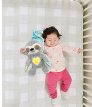 Load image into Gallery viewer, VTech My Sleepy Sloth, 0+Months
