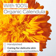 Load image into Gallery viewer, Weleda Baby Calendula Face Cream 50ml (New)
