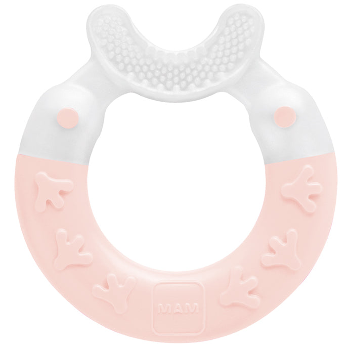 MAM  Bite & Brush Teether,  3+Months