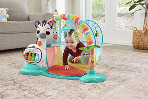 VTech 6-in-1 Playtime Tunnel 3-36Months