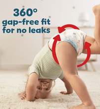Load image into Gallery viewer, Pampers Baby-Dry Nappy Pants Size 9, 40Pack, 19kg+ Jumbo Pack

