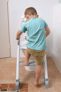 Dreambaby Ladder Step-Up Toilet Trainer, 18+Months